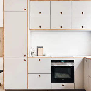 Plywood Kitchen with HPL Top and French Oak Lipping