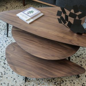Organic Walnut Coffee Tables 3X