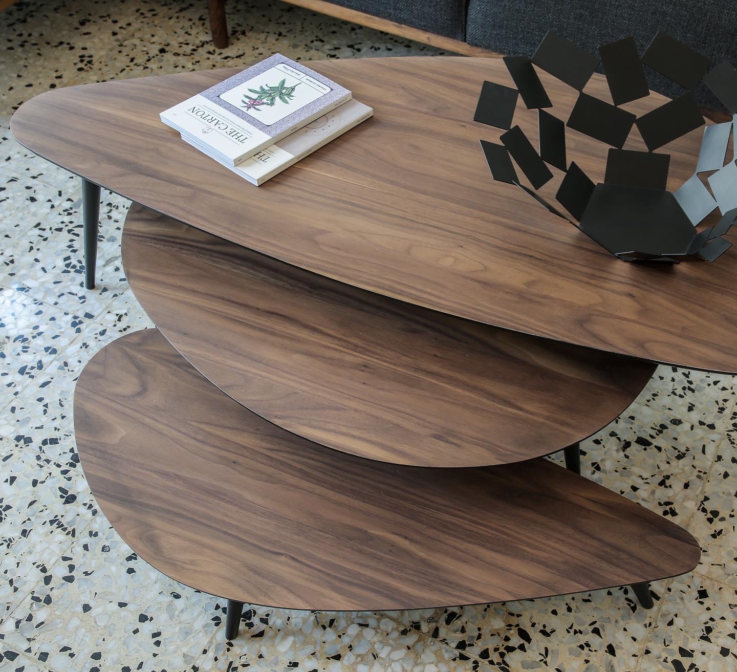 Organic Walnut Coffee Tables 3X