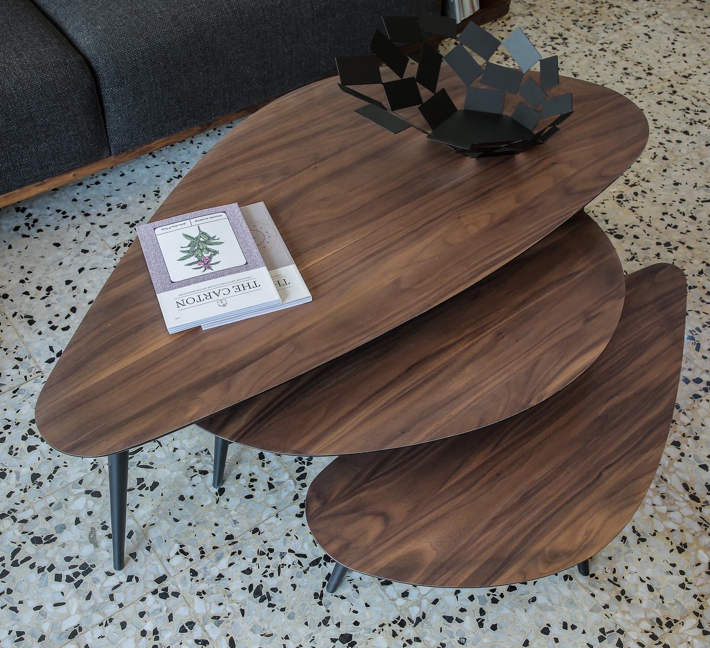 Organic Walnut Coffee Tables 3X - Image 4